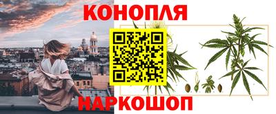 шишки Чебоксары