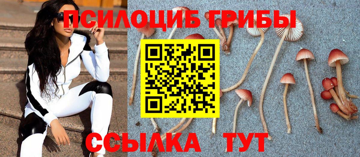 Галлюциногенные грибы MAGIC MUSHROOMS  Псилоцибиновые грибы Magic Shrooms  Мытищи  Вход с VPN 
