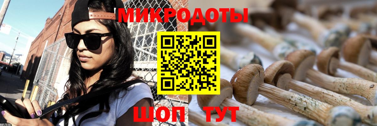 Псилоцибиновые грибы мухоморы Мытищи
